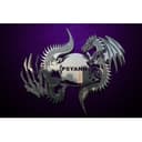 PSYANN graphics and advertisment